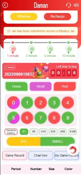 Know how to bet in Daman game